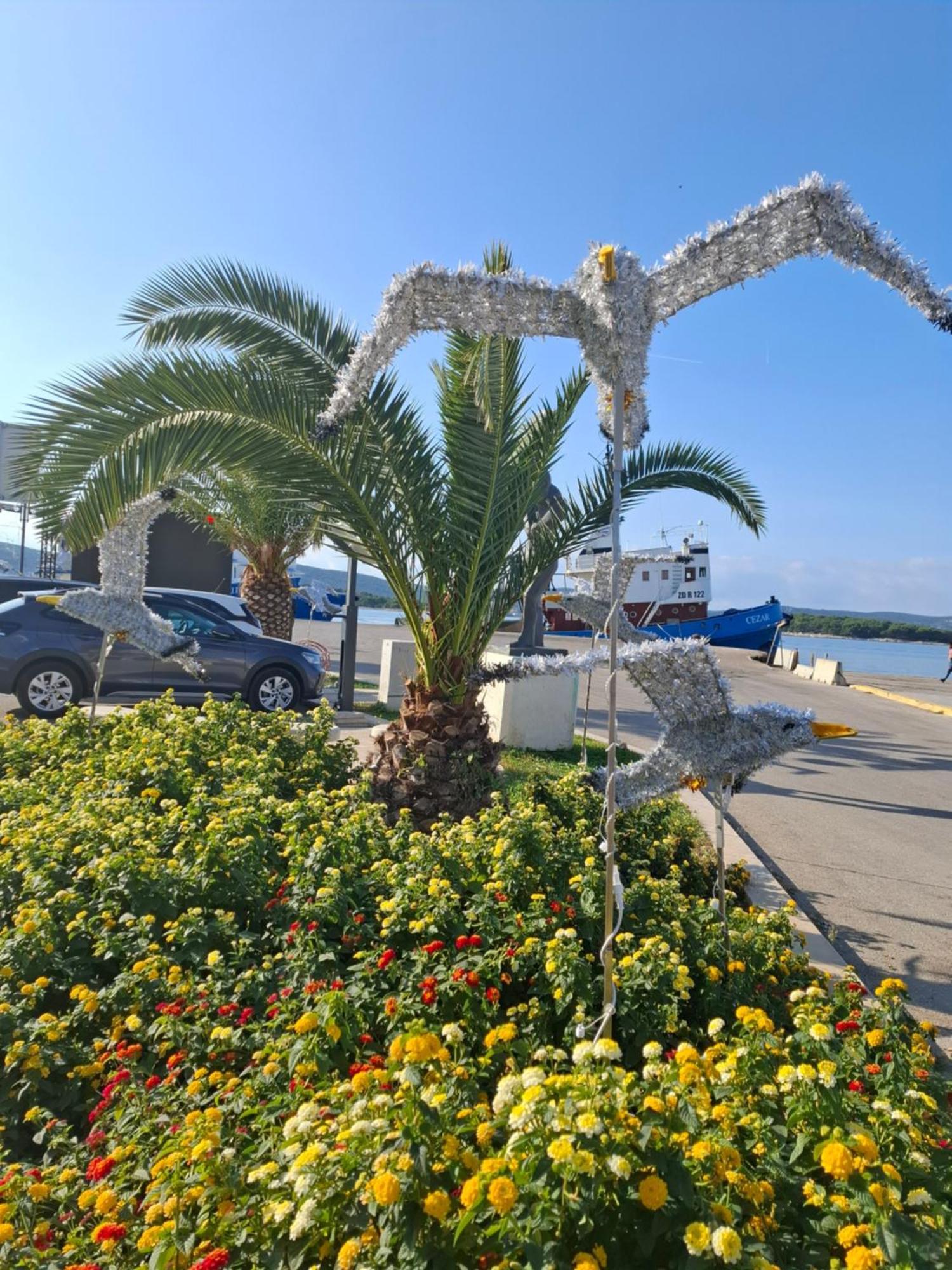 Apartmani Orhideja Gornji Karin Εξωτερικό φωτογραφία