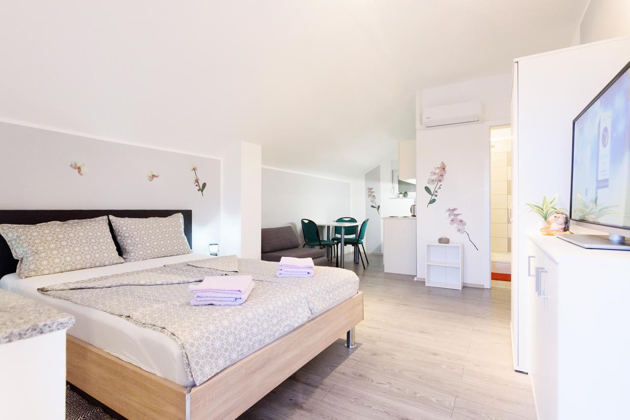 Apartmani Orhideja Gornji Karin Εξωτερικό φωτογραφία